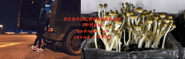 марки lsd Нефтегорск