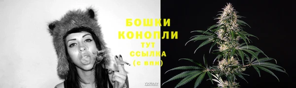 дурь Нея