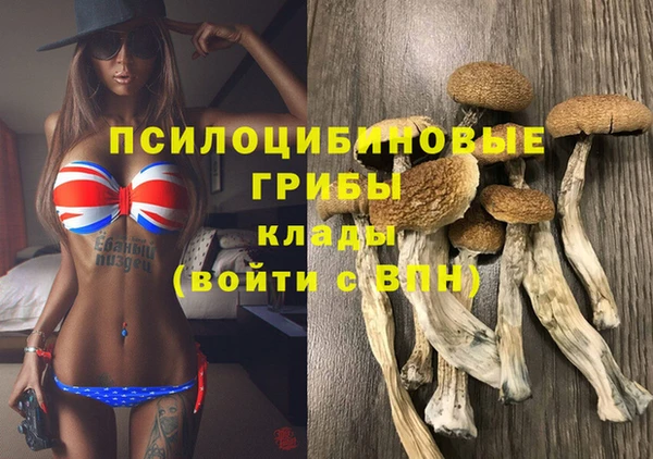 шишки Нефтекумск