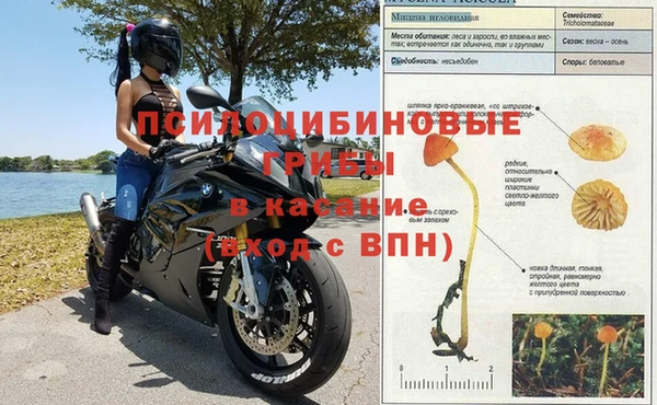 шишки Нефтекумск