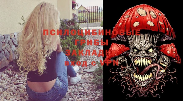 шишки Нефтекумск
