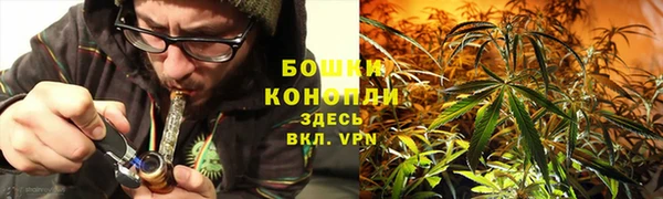 шишки Нефтекумск